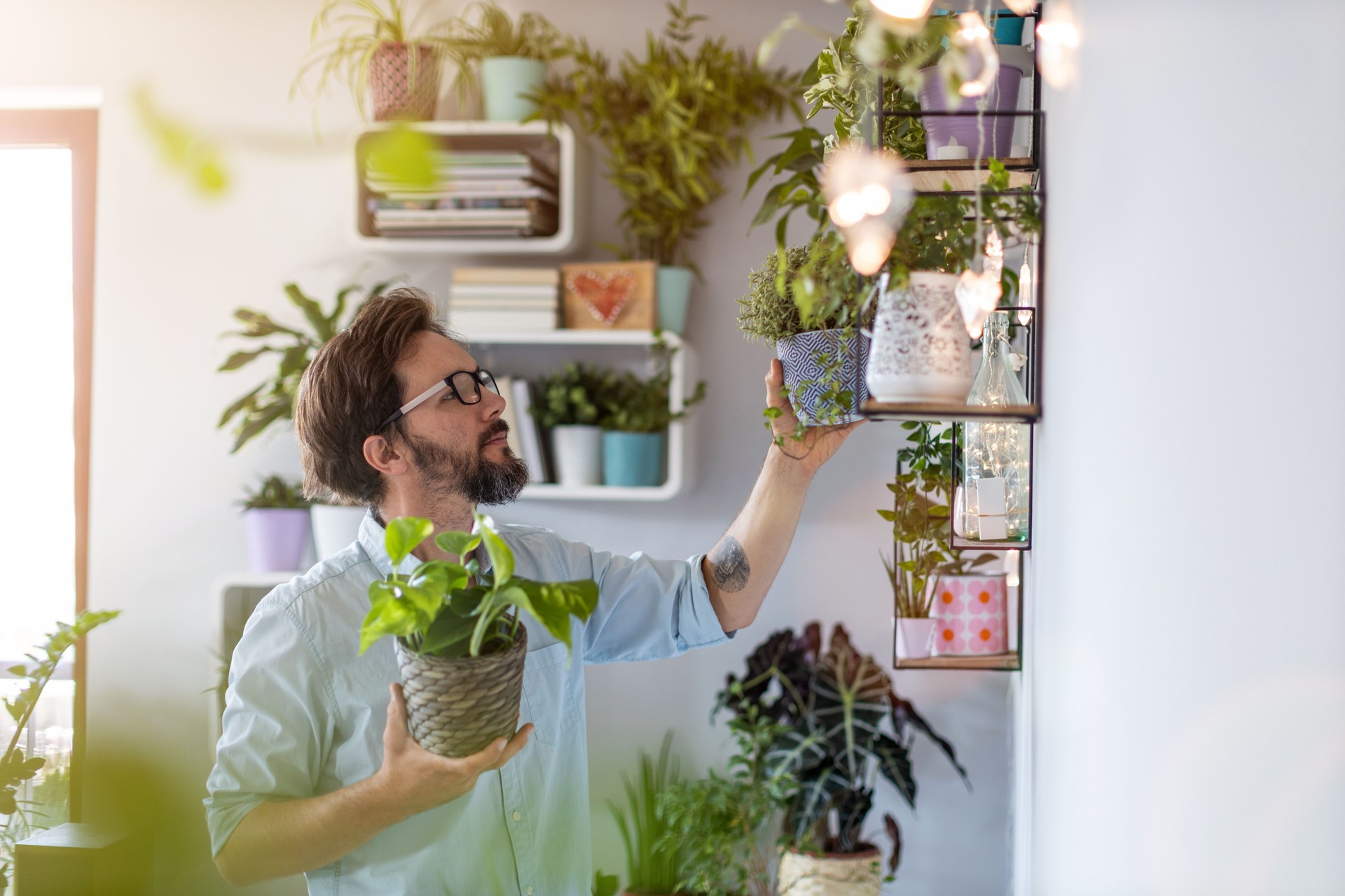 Hombre cuidando de sus plantas en maceta en casa